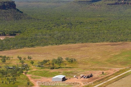 agricultural;agriculture;Australasia;Australia;cattle-ranch;cattle-station;country;countryside;crop;crops;farm;farm-shed;farm-sheds;farming;farmland;farms;field;fields;Gregory-N.P;Gregory-National-Park;Gregory-NP;horticulture;Jutpurra-N.P;Jutpurra-National-Park;Jutpurra-NP;meadow;meadows;N.T.;national-parks;Northern-Territory;NT;outback-station;outback-stations;paddock;paddocks;pasture;pastures;rural;Top-End;Victoria-Highway;Victoria-River