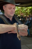 Adelaide-River;Australia;Australian;danger;dangerous;dangerous-wildlife;frightened;Gagadju;hlding-snake;Kakadu;Kakadu-N.P.;Kakadu-National-Park;Kakadu-NP;N.T.;nervous;Northern-Territory;NT;python;pythons;reptile;reptiles;scared;scary;snake;snakes;Top-End;tourism;tourist;tourists;UN-world-heritage-area;UN-world-heritage-site;UNESCO-World-Heritage-area;UNESCO-World-Heritage-Site;united-nations-world-heritage-area;united-nations-world-heritage-site;wildlife;world-heritage;world-heritage-area;world-heritage-areas;World-Heritage-Park;World-Heritage-site;World-Heritage-Sites