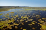 aerial;aerial-photo;aerial-photograph;aerial-photographs;aerial-photography;aerial-photos;aerial-view;aerial-views;aerials;Australia;Australian;billabong;billabongs;flood-plain;flood-plains;floodplain;floodplains;Gagadju;Kakadu;Kakadu-billabong;Kakadu-billabongs;Kakadu-flood-plain;Kakadu-flood-plains;Kakadu-floodplain;Kakadu-floodplains;Kakadu-N.P.;Kakadu-National-Park;Kakadu-NP;Kakadu-wetland;Kakadu-wetlands;Magela-Creek;Magela-Creek-System;Magela-Creek-Wetlands;Magela-Wetlands;N.T.;Northern-Territory;NT;rainy-season;seasonal;Top-End;UN-world-heritage-area;UN-world-heritage-site;UNESCO-World-Heritage-area;UNESCO-World-Heritage-Site;united-nations-world-heritage-area;united-nations-world-heritage-site;wet-season;wetland;wetlands;wilderness;wilderness-area;wilderness-areas;world-heritage;world-heritage-area;world-heritage-areas;World-Heritage-Park;World-Heritage-site;World-Heritage-Sites