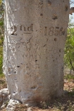 1856;2nd-July-1856;Augustus-Charles-Gregory;Augustus-Gregory;Australasia;Australia;Australian;Australian-Outback;back-country;backcountry;carved-boab;early-explorer;early-explorers;Gregory-Expedition;Gregory-N.P;Gregory-National-Park;Gregory-NP;Gregorys-Tree;Gregorys-Tree;Jutpurra-N.P;Jutpurra-National-Park;Jutpurra-NP;N.T.;national-parks;Northern-Territory;NT;Outback;Top-End;Victoria-Highway;Victoria-River