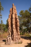 ant-hill;ant-hills;anthill;anthills;Australasia;Australia;Cathedral-mounds;Cathedral-Termite-mounds;Litchfield-N.P.;Litchfield-National-Park;Litchfield-NP;N.T.;Northern-Territory;NT;termitaria;termite-colonies;termite-colony;termite-hill;termite-hills;termite-mound;termite-mounds;termite-nest;termite-nests;Top-End