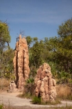 ant-hill;ant-hills;anthill;anthills;Australasia;Australia;Cathedral-mounds;Cathedral-Termite-mounds;Litchfield-N.P.;Litchfield-National-Park;Litchfield-NP;N.T.;Northern-Territory;NT;termitaria;termite-colonies;termite-colony;termite-hill;termite-hills;termite-mound;termite-mounds;termite-nest;termite-nests;Top-End