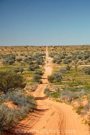 Australia;Australian;outback;outback-Australia;Simpson-Desert;Simpson-Desert;desert;deserts;Queensland;Simpson-Desert-National-Park;Simpson-Desert-NP;national-parks;The-QAA-Line;sand-dune;sand;dune;dunes;track;four-wheel-drive-track;tracks;QAA-Line;Munga_Thirri-National-Park;Munga_Thirri-NP;QAA-track