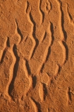 Simpson-Desert;desert;deserts;Queensland;Australia;Australian;outback;outback-Australia;Qld;QAA-Line;QAA;sand-patterns;ripple;ripples;sand;sand-dune;sand-dunes;pattern;patterns;sand-ripples;QAA-track