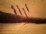 aerial;aerial-image;aerial-photo;aerial-photograph;aerial-photography;aerial-view;aerials;Drone;Drones;drone-aerial;Simpson-Desert;desert;deserts;Queensland;Australia;Australian;outback;outback-Australia;Qld;QAA-Line;QAA;Big-Red;Big-Red-Dune;Nappanerica;dune;dunes;sand-dune;sand-dunes;sand;shadow;shadows;people;Birdsville;QAA-track