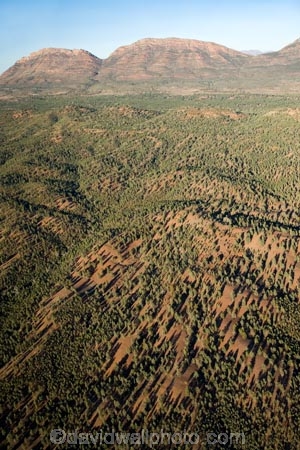 aerial;aerial-photo;aerial-photography;aerial-photos;aerial-view;aerial-views;aerials;arid;Australasia;Australasian;Australia;Australian;Australian-Desert;Australian-Deserts;Australian-Outback;back-country;backcountry;Callitrus;Callitrus-Forest;Callitrus-Forests;country;countryside;desert;deserts;Escarpment;Flinders;Flinders-Range;Flinders-Ranges;Flinders-Ranges-N.P.;Flinders-Ranges-National-Park;Flinders-Ranges-NP;Forest;forests;landscape;National-Park;National-Parks;Outback;pine;pine-tree;pine-trees;pines;red-centre;remote;remoteness;rock;rural;S.A.;SA;South-Australia;South-Flinders-Ranges;wilderness