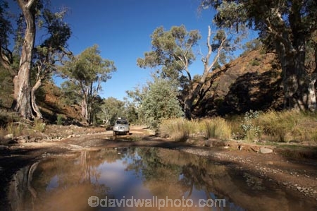 4wd;4wds;4wds;4x4;4x4s;4x4s;Australasian;Australia;Australian;Australian-Outback;back-country;backcountry;backwoods;Bunyeroo-Gorge;Bunyeroo-Valley;countryside;dusty;eucalypt;eucalypts;eucalyptus;eucalytis;Flinders-Ranges;Flinders-Ranges-N.P.;Flinders-Ranges-National-Park;Flinders-Ranges-NP;ford;fords;four-by-four;four-by-fours;four-wheel-drive;four-wheel-drives;gravel-road;gravel-roads;gum;gum-tree;gum-trees;gums;metal-road;metal-roads;metalled-road;metalled-roads;national-park;national-parks;Outback;Outback-Travel;puddle;puddles;remote;remoteness;road;roads;rural;S.A.;SA;South-Australia;South-Flinders-Ranges;suv;suvs;toyota;toyota-landcruiser;toyota-landcruisers;toyotas;tree;trees;vehicle;vehicles