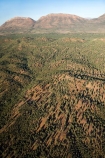 aerial;aerial-photo;aerial-photography;aerial-photos;aerial-view;aerial-views;aerials;arid;Australasia;Australasian;Australia;Australian;Australian-Desert;Australian-Deserts;Australian-Outback;back-country;backcountry;Callitrus;Callitrus-Forest;Callitrus-Forests;country;countryside;desert;deserts;Escarpment;Flinders;Flinders-Range;Flinders-Ranges;Flinders-Ranges-N.P.;Flinders-Ranges-National-Park;Flinders-Ranges-NP;Forest;forests;landscape;National-Park;National-Parks;Outback;pine;pine-tree;pine-trees;pines;red-centre;remote;remoteness;rock;rural;S.A.;SA;South-Australia;South-Flinders-Ranges;wilderness