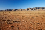 agricultural;agriculture;Australasian;Australia;Australian;Australian-Outback;back-country;backcountry;backwoods;country;countryside;farm;farming;farmland;farms;field;fields;Flinders-Ranges;Flinders-Ranges-N.P.;Flinders-Ranges-National-Park;Flinders-Ranges-NP;meadow;meadows;national-park;national-parks;Outback;Outback-Travel;paddock;paddocks;pasture;pastures;remote;remoteness;rural;S.A.;SA;sheep;South-Australia;South-Flinders-Ranges;stock;Wilpena-Pound