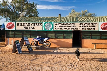 ale-house;ale-houses;Australasia;Australasian;Australia;Australian;Australian-Desert;Australian-Deserts;Australian-Outback;back-country;backcountry;backwoods;bar;bars;collie-cross;collie_cross;country;countryside;cross-country-bike;crosscountry-bike;desert;Deserts;dirt-bike;dirt-bikes;dirtbike;dirtbikes;dog;dogs;Enduro-Bike;Enduro-Bikes;free-house;free-houses;hotel;hotels;motor-bike;motor-bikes;motorbike;motorbikes;motorcycle;motorcyles;Oodnadatta-Track;Outback;pub;public-house;public-houses;pubs;red-centre;remote;remoteness;rural;S.A.;SA;saloon;saloons;sheep-dog;sheep-dogs;South-Australia;tavern;taverns;trail-bike;trail-bikes;trailbike;trailbikes;Yamaha;william-creek;william-creek-hotel