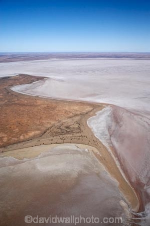 15-m-below-sea-level;aerial;aerial-photo;aerial-photography;aerial-photos;aerial-view;aerial-views;aerials;alkalii-flat;Australasian;Australia;Australian;Australian-Desert;Australian-Deserts;Australian-Outback;back-country;backcountry;backwoods;barren;barreness;basin;below-sea-level;Belt-Bay;bright;bright-white;dazzle;dazzling;depression;desert;deserts;desolate;dry;dry-lake;dry-lakes;empty;endorheric;endorheric-basin;endorheric-basins;endorheric-lake;extreme;flat;geographic;geography;glare;glary;hostile;huge;island;islands;lake;lake-bed;lake-beds;Lake-Eyre-N.P.;Lake-Eyre-National-Park;Lake-Eyre-NP;lakes;national-park;national-parks;Oodnadatta-Track;Outback;pan;pans;playa;playas;remote;remoteness;S.A.;SA;sabkha;saline;salt;salt-crust;salt-lake;salt-lakes;salt-pan;salt-pans;salt-pattern;salt-patterns;salt_pan;salt_pans;saltpan;saltpans;salty;shore;shoreline;shorelines;South-Australia;surface-pattern;surface-patterns;vast;white;white-surface;wilderness;worlds-largest-salt-lake