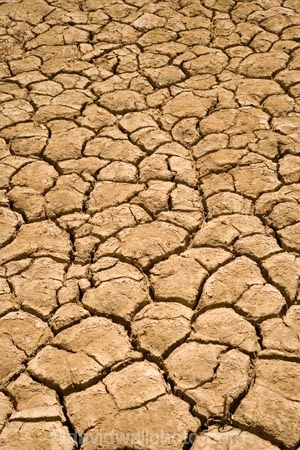 arid;Australasia;Australia;Australian;Australian-Desert;Australian-Deserts;Australian-Outback;back-country;backcountry;backwoods;country;countryside;cracked;cracks;desert;Deserts;drought;drought-prone;droughts;dry;geographic;geography;irrigation;mud;Outback;parched;pond;red-centre;remote;remoteness;reservoir;rural;S.A.;SA;scorched;South-Australia;Strezlecki-Track;Strezleki-Track;Strzelecki-Track;sunbaked;waterless;wilderness