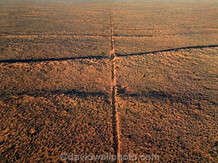 aerial;aerial-image;aerial-photo;aerial-photograph;aerial-photography;aerial-view;aerials;Drone;Drones;drone-aerial;Simpson-Desert;desert;deserts;Munga_Thirriâ€“Simpson-Desert-National-Park;Munga_Thirriâ€“Simpson-Desert-Conservation-Park;Simpson-Desert-Conservation-Park;Simpson-Desert-National-Park;Munga_Thirriâ€“Simpson-Desert-NP;French-Line;The-French-Line;sand-dune;sand;dune;dunes;track;four-wheel-drive-track;tracks;The-French-Line;dune;dunes;parallel-dunes;sand-dunes;sand;track;4wd-track;tracks;four-wheel-drive-track;national-parks;South-Australia;SA;S.A.;Australia;Australian;outback;outback-Australia