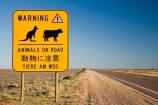 Animals-on-Road-Warning-Sign-Stuart-Highway;arid;Australasia;Australasian;Australia;Australian;Australian-Desert;Australian-Deserts;Australian-Outback;back-country;backcountry;backwoods;cattle-sign;cattle-signs;country;countryside;cow-sign;cow-signs;Danger-Sign;Danger-Signs;desert;deserts;dry;kangaroo-sign;kangaroo-signs;kangaroo-warning-sign;kangaroo-warning-signs;Outback;Port-Augusta;red-centre;remote;remoteness;rural;S.A.;SA;sign;signs;South-Australia;Stuart-Highway;wandering-stock-sign;wandering-stock-signs;Warning-Sign;Warning-Signs;wilderness;yellow