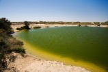 artesian-bore;artesian-bores;artesian-spring;artesian-springs;artesian-water;Australasia;Australia;Australian;Australian-Desert;Australian-Deserts;Australian-Outback;back-country;backcountry;backwoods;bore;bores;country;countryside;desert;Deserts;geographic;geography;Montecollina-Bore;mound-spring;mound-springs;natural-spring;natural-springs;oases;oasis;Outback;pond;ponds;red-centre;remote;remoteness;rural;S.A.;SA;South-Australia;spring;springs;Strezlecki-Track;Strezleki-Track;Strzelecki-Track;water;water-hole;water-holes;wilderness