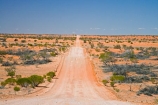 arid;Australasia;Australia;Australian;Australian-Desert;Australian-Deserts;Australian-Outback;back-country;backcountry;backwoods;Bollards-Lagoon-Road;country;countryside;desert;Deserts;dry;dusty;geographic;geography;gravel-road;gravel-roads;journey;metal-road;metal-roads;metalled-road;metalled-roads;Outback;red-centre;remote;remoteness;road;road-trip;road-trips;roads;rural;S.A.;SA;sand;South-Australia;straight;straights;Strezlecki-Track;Strezleki-Track;Strzelecki-Track;track;tracks;travel;traveling;travelling;wilderness