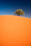 arid;Australasia;Australia;Australian;Australian-Desert;Australian-Deserts;Australian-Outback;back-country;backcountry;backwoods;Bollards-Lagoon-Road;country;countryside;desert;deserts;dry;dune;dunes;geographic;geography;outback;prints;red-centre;remote;remoteness;ripple;ripples;rock;rural;S.A.;SA;sand;sand-dune;sand-dunes;sand-hill;sand-hills;sand-ripple;sand-ripples;sand_dune;sand_dunes;sand_hill;sand_hills;sanddune;sanddunes;sandhill;sandhills;sandy;South-Australia;Strezlecki-Track;Strezleki-Track;Strzelecki-Track;wilderness;wind-ripple;wind-ripples