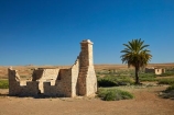South-Australia;SA;S.A.;Australia;Australian;outback;outback-Australia;Simpson-Desert;desert;deserts;Dalhousie-Homestead-Ruins;Dalhousie-Ruins;Dalhousie-Station-Ruins;Derelict;abandon;abandoned;building;buildings;dereliction;deserted;relic;relics;ruin;ruins;run-down;rustic;Witjira-National-Park;Witjira-N.P.;Witjira-NP;palm;palm-tree;palm-trees;tree;palms;national-parks