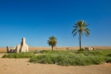 South-Australia;SA;S.A.;Australia;Australian;outback;outback-Australia;Simpson-Desert;desert;deserts;Dalhousie-Homestead-Ruins;Dalhousie-Ruins;Dalhousie-Station-Ruins;Derelict;abandon;abandoned;building;buildings;dereliction;deserted;relic;relics;ruin;ruins;run-down;rustic;Witjira-National-Park;Witjira-N.P.;Witjira-NP;palm;palm-tree;palm-trees;tree;palms;national-parks