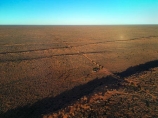 aerial;aerial-image;aerial-photo;aerial-photograph;aerial-photography;aerial-view;aerials;Drone;Drones;drone-aerial;Simpson-Desert;desert;deserts;Munga_Thirri–Simpson-Desert-National-Park;Munga_Thirri–Simpson-Desert-Conservation-Park;Simpson-Desert-Conservation-Park;Simpson-Desert-National-Park;Munga_Thirri–Simpson-Desert-NP;French-Line;The-French-Line;sand-dune;sand;dune;dunes;track;four-wheel-drive-track;tracks;The-French-Line;dune;dunes;parallel-dunes;sand-dunes;sand;camp;camping;camp-site;campsites;track;4wd-track;tracks;four-wheel-drive-track;national-parks;South-Australia;SA;S.A.;Australia;Australian;outback;outback-Australia