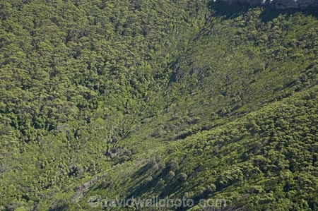 aerial;aerial-photo;aerial-photograph;aerial-photographs;aerial-photography;aerial-photos;aerial-view;aerial-views;aerials;Australasia;Australia;coast;coastal;coastline;coastlines;coasts;foreshore;Illawarra;Illawarra-Escarpment;N.S.W.;New-South-Wales;NSW;ocean;Royal-N.P.;Royal-National-Park,;Royal-NP;sea;shore;shoreline;shorelines;shores;Sydney;tree;trees;water;wind;wind-blown-bush;wind-blown-trees;wind_blown-bush;wind_blown-trees;Windblown-Bush;windblown-trees;windy