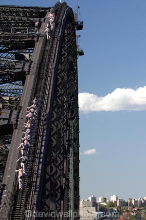sydney;australia;bridge;climb;bridges;climber;silhouette;high;adventure;tourism;tourist;exciting;harbor;harbour;harbors;harbours;tourists;exciting;climbers;view-