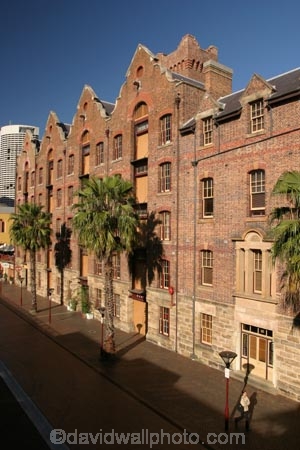 historical;historic;urban;landscape;palm;palms;brick;bricks;Building;The-Rocks;rocks;Sydney;Australia