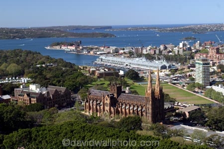 church;churches;cathedral;cathedral;religion;religions;sydney;australia;st-marys;st.-marys;st-marys;st.-marys;night;floodlit;lighting