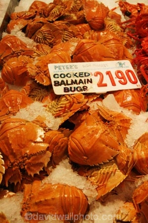 australia;sydney;balmain;bugs;food;markets;market;fish;fishing;sell;sale;fishy;orange;prymont;blackwattle;bay-