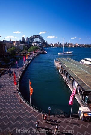 sydney;cove;harbor;harbors;harbours;commute;commuters;offices;CBD;C.B.D.;office;skyscraper;skyscrapers;wharf;wharves;jetty;bridge;bridges;sydney;harbour;bridge;sydney;opera;house;landmark;landmarks;icon;icons;terminal;ferries;circular;quay;australia
