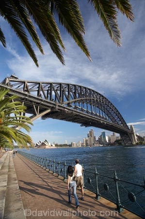 architectural;architecture;Australasia;Australia;Bennelong-Point;bridge;bridges;c.b.d.;cbd;central-business-district;cities;city;cityscape;cityscapes;couple;female;icon;iconic;icons;Kirribilli;landmark;landmarks;male;man;men;Milsons-Point;N.S.W.;New-South-Wales;NSW;Olympic-Dr;Olympic-Drive;Opera-House;palm-tree;palm-trees;people;person;structure;structures;Sydney;Sydney-Harbor;Sydney-Harbor-Bridge;Sydney-Harbour;Sydney-Harbour-Bridge;Sydney-Opera-House;two;woman;women;young-couple