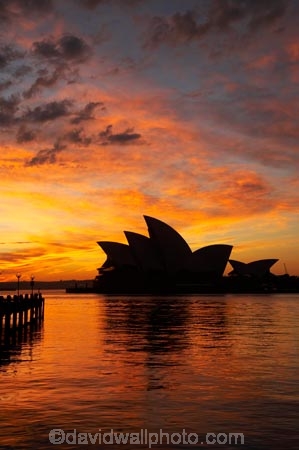 architectural;architecture;Australasia;Australia;Bennelong-Point;break-of-day;calm;dawn;dawning;daybreak;first-light;icon;iconic;icons;landmark;landmarks;morning;N.S.W.;New-South-Wales;NSW;Opera-House;orange;placid;quiet;reflection;reflections;serene;silhouette;silhouettes;sky;smooth;still;sunrise;sunrises;sunup;Sydney;Sydney-Cove;Sydney-Harbor;Sydney-Harbour;Sydney-Opera-House;tranquil;twilight;water