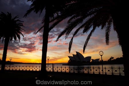 architectural;architecture;Australasia;Australia;Bennelong-Point;break-of-day;dawn;dawning;daybreak;first-light;globe;globes;icon;iconic;icons;lamp;lamps;landmark;landmarks;morning;N.S.W.;New-South-Wales;NSW;Opera-House;orange;palm-tree;palm-trees;silhouette;silhouettes;sky;street-lamp;street-lamps;street-light;street-lighting;street-lights;sunrise;sunrises;sunup;Sydney;Sydney-Cove;Sydney-Harbor;Sydney-Harbour;Sydney-Opera-House;twilight