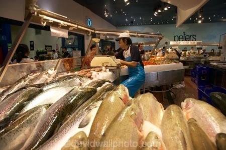 Australasia;Australia;commerce;fish;fishmonger;fishmongers;food;food-market;food-markets;food-shop;food-shops;fresh-fish;market;markets;N.S.W.;New-South-Wales;NSW;Peters-Fish-Shop;Peters-Fish-Shop;Prymont;seafood;Seafood-Market;sell;shop;shops;Sydney;Sydney-Fish-Market