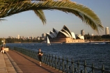 australia;sydney;cove;harbour;harbours;harbors;harbor;icon;icons;australian;landmark;landmarks;palm;palms;footpath;sidewalk;fence;rail;railing;opera;house;opera-house