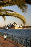 australia;sydney;cove;harbour;harbours;harbors;harbor;icon;icons;australian;landmark;landmarks;palm;palms;footpath;sidewalk;fence;rail;railing;opera-house;opera;house
