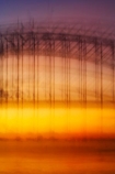 abstract;Australasia;Australia;blur;blurred;blurry;break-of-day;bridge;bridges;dawn;dawning;daybreak;first-light;iconic;icons;landmark;landmarks;morning;N.S.W.;New-South-Wales;NSW;orange;structure;structures;sunrise;sunrises;sunup;Sydney;Sydney-Harbor;Sydney-Harbor-Bridge;Sydney-Harbour;Sydney-Harbour-Bridge;twilight