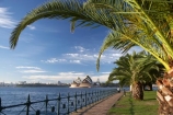 architectural;architecture;Australasia;Australia;Bennelong-Point;harbors;harbours;icon;iconic;icons;Kirribilli;landmark;landmarks;Milsons-Point;N.S.W.;New-South-Wales;NSW;Opera-House;palm-tree;palm-trees;Sydney;Sydney-Harbor;Sydney-Harbour;Sydney-Opera-House
