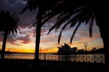 architectural;architecture;Australasia;Australia;Bennelong-Point;break-of-day;dawn;dawning;daybreak;first-light;globe;globes;icon;iconic;icons;lamp;lamps;landmark;landmarks;morning;N.S.W.;New-South-Wales;NSW;Opera-House;orange;palm-tree;palm-trees;silhouette;silhouettes;sky;street-lamp;street-lamps;street-light;street-lighting;street-lights;sunrise;sunrises;sunup;Sydney;Sydney-Cove;Sydney-Harbor;Sydney-Harbour;Sydney-Opera-House;twilight