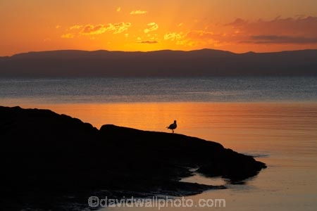 Australasian;Australia;Australian;calm;coast;coastal;coastline;coastlines;coasts;Coles-Bay;dusk;East-Tasmania;Eastern-Tasmania;evening;foreshore;Freycinet-N.P.;Freycinet-National-Park;Freycinet-NP;Freycinet-Peninsula;Honeymoon-Bay;Island-of-Tasmania;national-parks;nightfall;ocean;orange;placid;quiet;reflection;reflections;sea;serene;shore;shoreline;shorelines;shores;sky;smooth;State-of-Tasmania;still;sunset;sunsets;Tas;Tasmania;tranquil;twilight;water