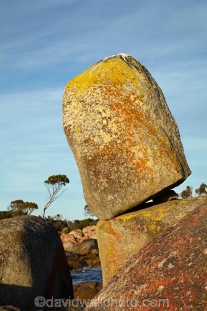 algae;Australasian;Australia;Australian;Bay-of-Fires;Binalong-Bay;coast;coastal;coastline;coastlines;coasts;East-Tasmania;Eastern-Tasmania;foreshore;fungi;geological;geology;Island-of-Tasmania;lichens;ocean;orange;orange-lichen;orange-lichens;orange-rock;orange-rock-lichen;orange-rock-lichens;orange-rocks;rock;rock-formation;rock-formations;rock-outcrop;rock-outcrops;rock-tor;rock-torr;rock-torrs;rock-tors;rocks;sea;shore;shoreline;shorelines;shores;State-of-Tasmania;stone;Tas;Tasmania;water