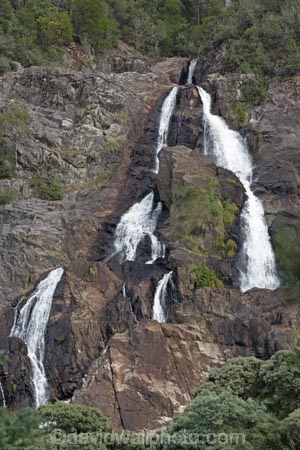 Australasian;Australia;Australian;cascade;cascades;creek;creeks;East-Tasmania;Eastern-Tasmania;falls;Island-of-Tasmania;natural;nature;Saint-Columba-Falls-State-Reserve;scene;scenic;St-Columba-Falls-State-Reserve;St.-Columba-Falls-State-Reserve;State-of-Tasmania;stream;streams;Tas;Tasmania;water;water-fall;water-falls;waterfall;waterfalls;wet