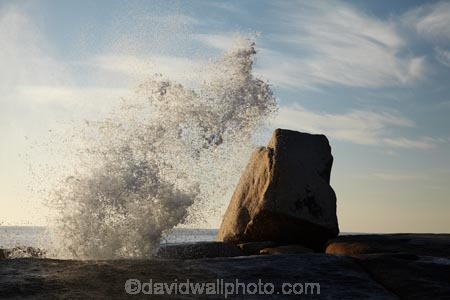 Australasian;Australia;Australian;Bicheno;big-splash;blow-hole;blow-holes;blow_hole;blow_holes;blowhole;blowholes;coast;coastal;coastline;coastlines;coasts;East-Tasmania;Eastern-Tasmania;foreshore;geological;geology;Island-of-Tasmania;large-splash;ocean;rock;rock-formation;rock-formations;rock-outcrop;rock-outcrops;rocks;sea;shore;shoreline;shorelines;shores;splash;splashes;splashing;spray;State-of-Tasmania;stone;Tas;Tasmania;vent;vent_hole;venthole;water;wave;waves
