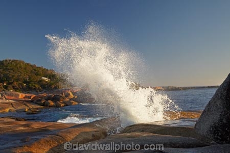 Australasian;Australia;Australian;Bicheno;big-splash;blow-hole;blow-holes;blow_hole;blow_holes;blowhole;blowholes;coast;coastal;coastline;coastlines;coasts;East-Tasmania;Eastern-Tasmania;foreshore;Island-of-Tasmania;large-splash;ocean;sea;shore;shoreline;shorelines;shores;splash;splashes;splashing;spray;State-of-Tasmania;Tas;Tasmania;vent;vent_hole;venthole;water;wave;waves