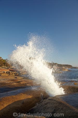 Australasian;Australia;Australian;Bicheno;big-splash;blow-hole;blow-holes;blow_hole;blow_holes;blowhole;blowholes;coast;coastal;coastline;coastlines;coasts;East-Tasmania;Eastern-Tasmania;foreshore;Island-of-Tasmania;large-splash;ocean;sea;shore;shoreline;shorelines;shores;splash;splashes;splashing;spray;State-of-Tasmania;Tas;Tasmania;vent;vent_hole;venthole;water;wave;waves
