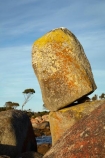 algae;Australasian;Australia;Australian;Bay-of-Fires;Binalong-Bay;coast;coastal;coastline;coastlines;coasts;East-Tasmania;Eastern-Tasmania;foreshore;fungi;geological;geology;Island-of-Tasmania;lichens;ocean;orange;orange-lichen;orange-lichens;orange-rock;orange-rock-lichen;orange-rock-lichens;orange-rocks;rock;rock-formation;rock-formations;rock-outcrop;rock-outcrops;rock-tor;rock-torr;rock-torrs;rock-tors;rocks;sea;shore;shoreline;shorelines;shores;State-of-Tasmania;stone;Tas;Tasmania;water