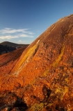 algae;Australasian;Australia;Australian;Bicheno;coast;coastal;coastline;coastlines;coasts;East-Tasmania;Eastern-Tasmania;foreshore;fungi;geological;geology;Island-of-Tasmania;lichens;orange;orange-lichen;orange-lichens;orange-rock;orange-rock-lichen;orange-rock-lichens;orange-rocks;rock;rock-formation;rock-formations;rock-outcrop;rock-outcrops;rocks;shore;shoreline;shorelines;shores;State-of-Tasmania;stone;Tas;Tasmania