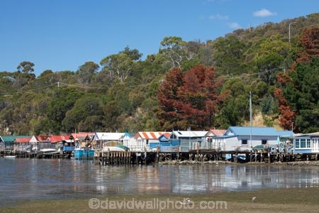 Australasian;Australia;Australian;boat-shed;boat-sheds;boatshed;boatsheds;calm;Cornelian-Bay;Derwent-River;Hobart;Island-of-Tasmania;placid;quiet;reflection;reflections;River-Derwent;serene;smooth;State-of-Tasmania;still;Tas;Tasmania;tranquil;water