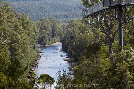 Australasian;Australia;Australian;beautiful;beauty;bush;Cantilever;elevated-walkway;elevated-walkways;endemic;forest;Forestry-Tasmania;forests;green;high;Huon-River;Island-of-Tasmania;native;native-bush;natural;nature;scene;scenic;State-of-Tasmania;Tahune-Air-Walk;Tahune-AirWalk;Tahune-Forest-Airwalk;Tahune-Forest-Reserve;Tahure-Forest-Air-Walk;Tas;Tasmania;tree;trees;wood;woods