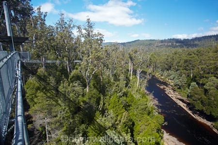 Australasian;Australia;Australian;beautiful;beauty;bush;Cantilever;elevated-walkway;elevated-walkways;endemic;forest;Forestry-Tasmania;forests;green;high;Huon-River;Island-of-Tasmania;native;native-bush;natural;nature;scene;scenic;State-of-Tasmania;Tahune-Air-Walk;Tahune-AirWalk;Tahune-Forest-Airwalk;Tahune-Forest-Reserve;Tahure-Forest-Air-Walk;Tas;Tasmania;tree;trees;wood;woods